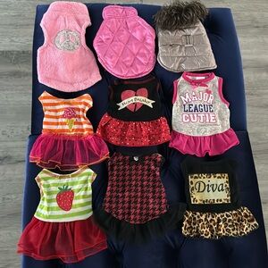 Small dog outfits 24 outfits, 2 costumes, 1 reusable diaper, 1 harness